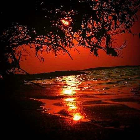 Fulhadhoo Inn المظهر الخارجي الصورة