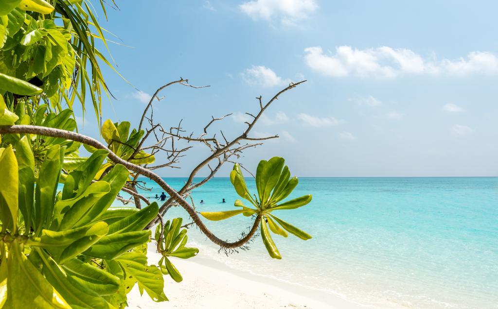 Fulhadhoo Inn المظهر الخارجي الصورة